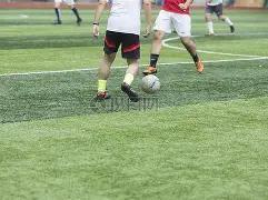 解码公牛与,独行侠,生死线上的,问鼎娱乐官网,问鼎娱乐官网,问鼎娱乐官网在线娱乐平台